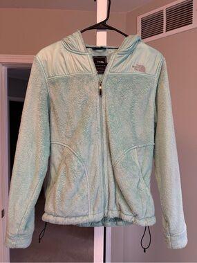 The North Face Mint Sherpa Fleece Zip Jacket